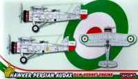 Hawker Persian Audax - Pratt and Whitney Hornet Engine