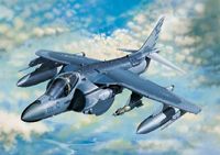 McDonnell-Douglas AV-8B Harrier II Plus - Image 1