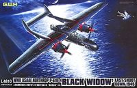 Northrop P-61B Black Widow WWII USAAF - Last Shoot Down 1945